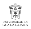 Logo UDG